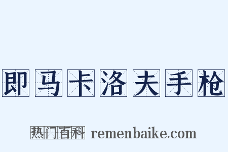 即马卡洛夫手枪是什么意思的图片